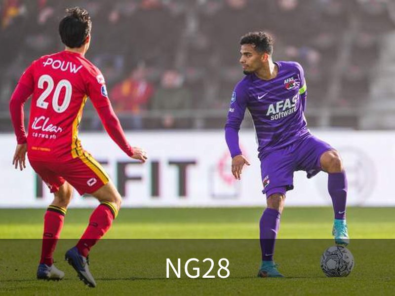 NG28简介
